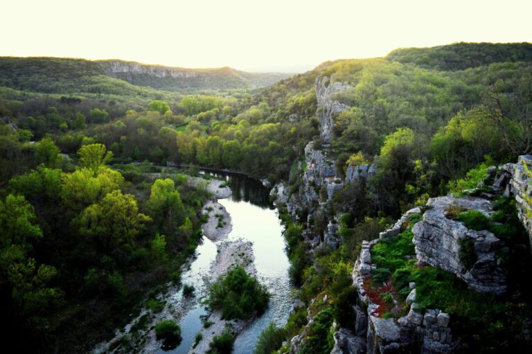 The hanging gardens of the Beaume gorges, in Labeaume