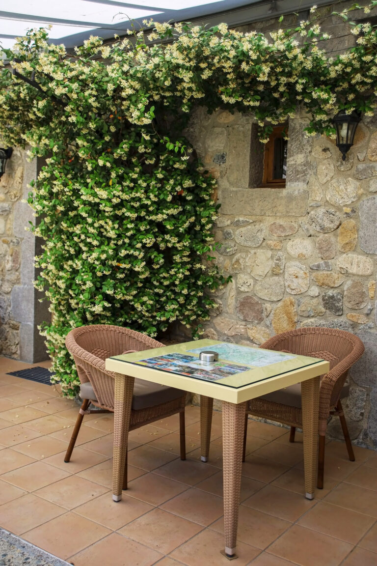 Table dressée sous la treille du patio — Hôtel La Garenne, Labeaume (Ardèche)